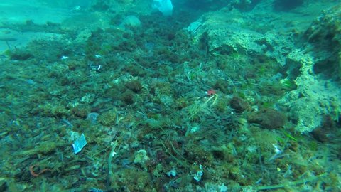 Sea pollution: a large number of plastic bags, bottles and dead seaweed on the seabed.