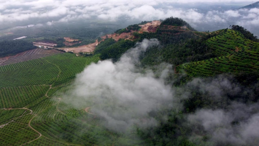 Aerial view low cloud at the hill plantation and land clearing site
