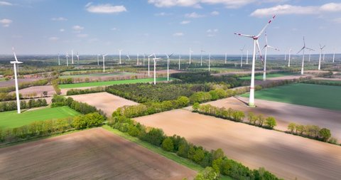 Aerial tilt up view of tulip field and wind farm, Flevoland, Netherlands