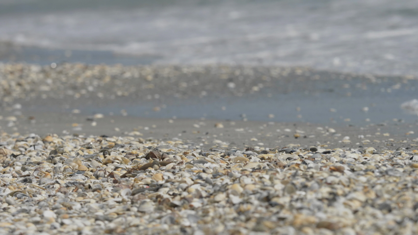 Wild beach with sand and shells washed by the sea waves - Powered by Shutterstock - Get 15% off with code: PIKWIZARD15