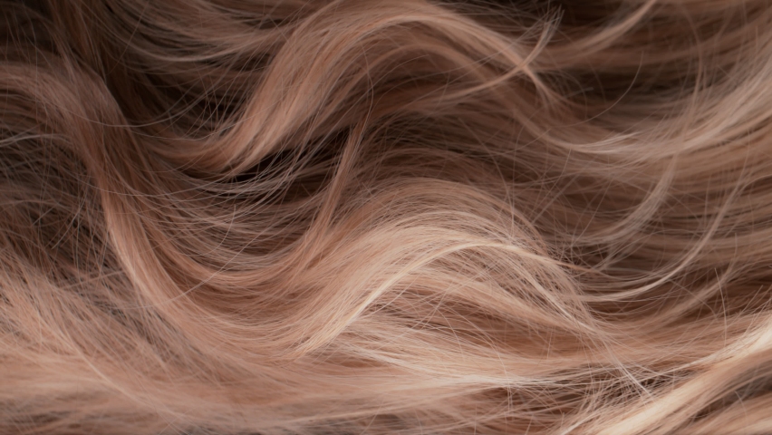 Super Slow Motion Shot of Waving Light Brown Highlighted Hair at 1000 fps. | Shutterstock HD Video #1091231903
