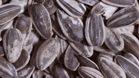 Full frame toasted sunflower seeds from above - stock video