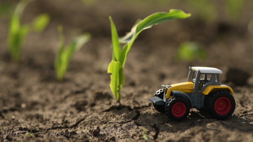 Die-cast toy model of agricultural tractor in cultivated corn sprout field, selective focus