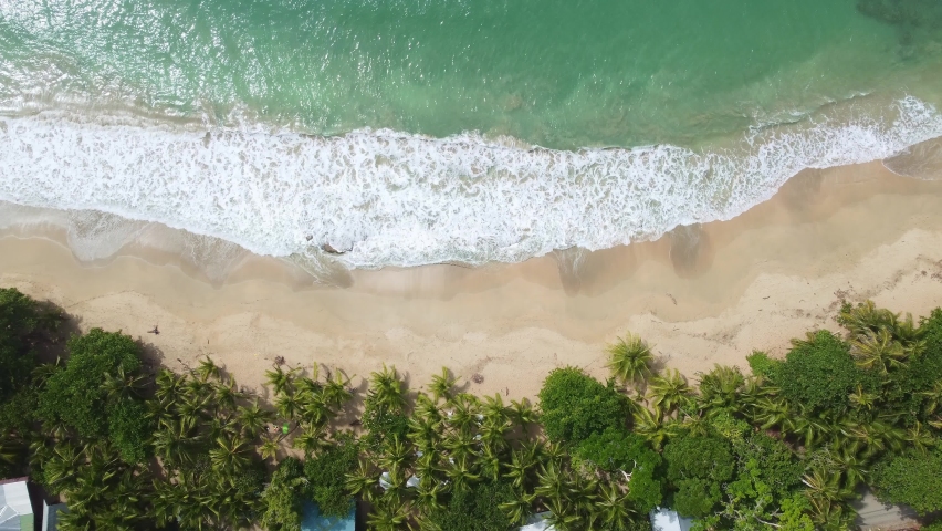 Puerto Viejo, Costa Rica: Aerial top down drone footage of the stunning beach near Puerto Viejo town along the Caribbean coast in Costa Rica in Central America. Royalty-Free Stock Footage #1091254275