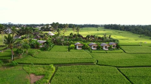 bamboo villas in a green rice field terrace in Ubud Bali Indonesia, aerial