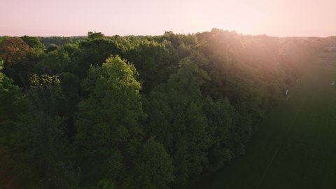 Drone Shot of Countryside Trees during Sunrise - New Albany, Ohio