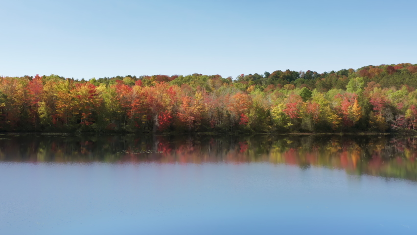 Colorful vibrant autumn forest with bright yellow red, orange and green tree leaves reflecting in still lake water surface with blue clear sky 4K. Beautiful fall landscape background on sunny warm day