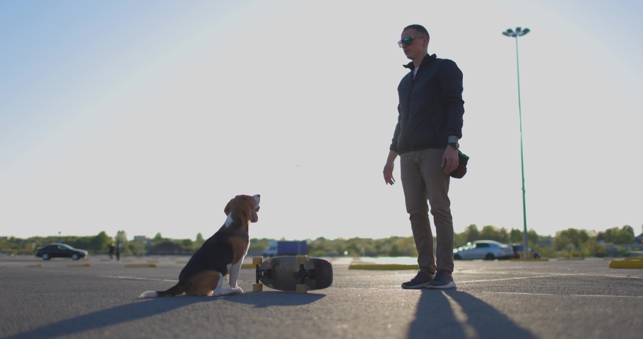 A young man is having fun with his dog in the fresh air. The owner is playing with his pet. Slow motion