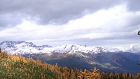 Scenic Cinematographic view of Mountains with snow peaks and pine woods in Banff National Park on a sunny day. Yellow and green autumn forest in the Rocky Mountains in Canada.