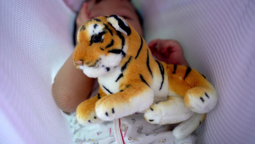 Close up tiger plush toy of baby at swing