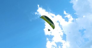 Great view of Flights with Paragliding
