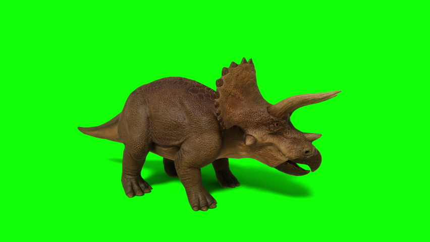 Dinosaur Videos: Download 76+ Free 4K & HD Stock Footage Clips