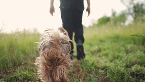 boy walking the dog in the park. happy family pet shaggy puppy kid dream concept. small child legs close-up walking in nature in the park with a dog. child and dog walking in lifestyle nature - Powered by Shutterstock - Get 15% off with code: PIKWIZARD15