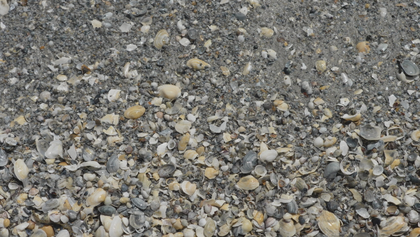 Sea wave covering the shells and sand on the beach, top view - Powered by Shutterstock - Get 15% off with code: PIKWIZARD15
