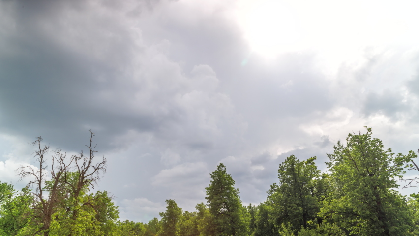 Approaching stormy clouds above green forest tree tops at windy summer day before rainstorm | Shutterstock HD Video #1091292733