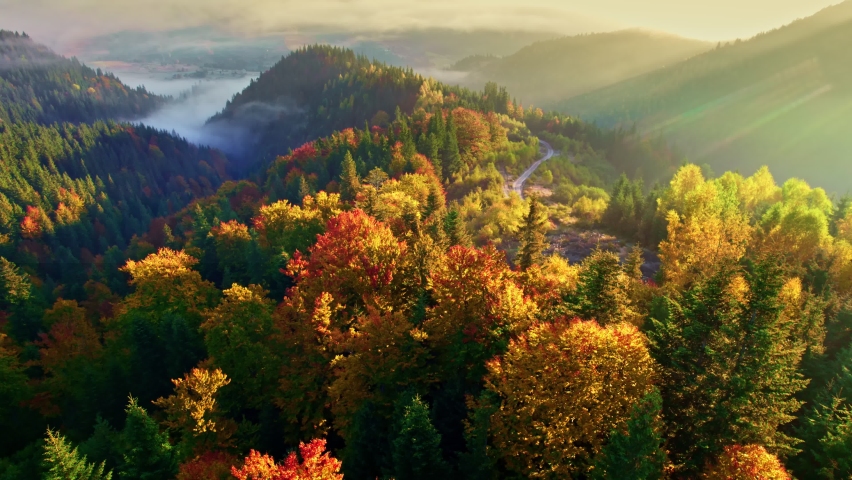 Gorgeous colorful autumn in the mountains. Aerial shot of red and yellow autumn trees, foggy mountains and warm morning sun. UHD, 4K. Royalty-Free Stock Footage #1091293579