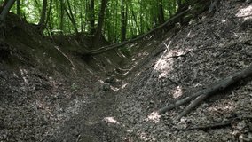 First person view of a mountainbiker racing up hill in a dense forest while the sun is shining during the day. Leaves cast shadows on the ground. - Powered by Shutterstock - Get 15% off with code: PIKWIZARD15