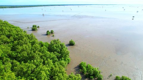An aerial view from a drone flying over the coastal mangrove forests at low tide. Mangrove forest at Bang Tabun, Phetchaburi Province, Thailand.
