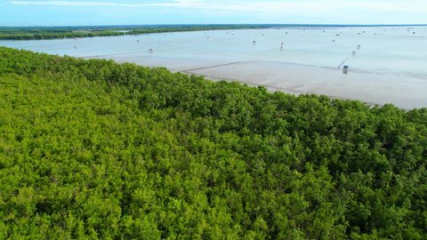 An aerial view from a drone flying over the coastal mangrove forests at low tide. Home Krateng in the background. Mangrove forest at Bang Tabun, Phetchaburi Province, Thailand. 4K
