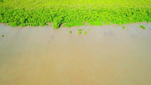 An aerial view from a drone flying over the mangrove forests along the coast. Mangrove forest at Bang Tabun, Phetchaburi Province, Thailand. 4k video.
