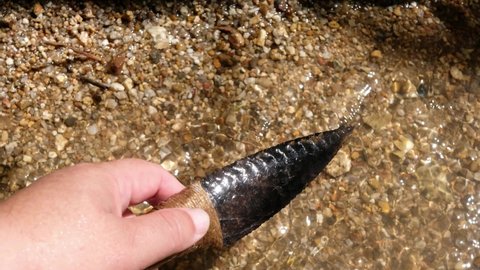 Obsidian has been long prized by Native Americans as a substance that can be formed into a knife blade or tool through a rock flaking process