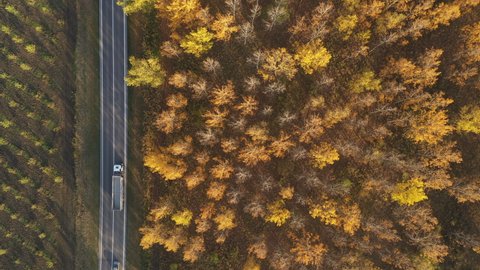 Semi-truck, van and many cars on road through wooded landscape in autumn, traffic and transportation concept from drone pov, directly above.