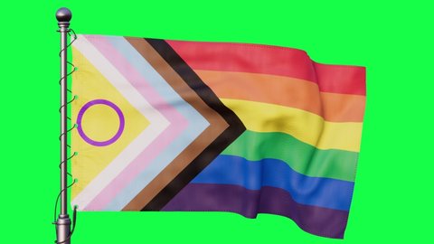 LGBTQIA flag waving on green screen. Diversity and inclusion concept loop 3d animation.