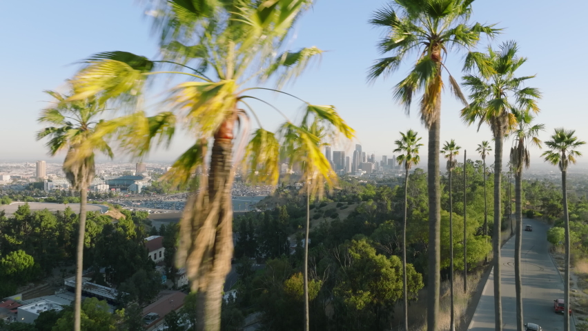 LA city of dreams cityscape view, aerial 4K summer background California. Cinematic Los Angeles downtown city view on background of scenic green tall palm trees highlighted in golden sunset light
