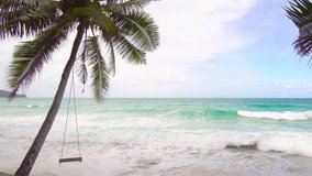 Coconut tree on beach sea Locations: Andaman sea Phuket Thailand 