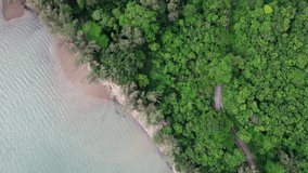 Aerial view of car driving on a windy coastal green jungle road with blue ocean, island vacation adventure