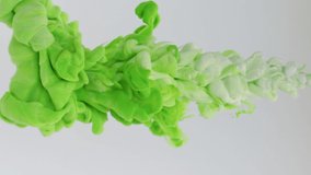 Green and white paint drops in water on a white background, abstract and beautiful wave of ink. 8K downscale, slow motion. Filmed on cinema camera, 4K. - Powered by Shutterstock - Get 15% off with code: PIKWIZARD15