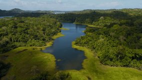 Tropical Rainforest aerial shot, Soberania National Park, Panama Canal, Panama - stock video
