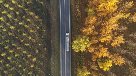 White cistern truck on highway through forest landscape in autumn, aerial view from drone pov directly above. Transportation and traffic concept.
