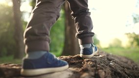 baby boy playing in the forest park. close-up child feet walking on a fallen tree log. happy family kid dream concept. a child in sneakers walks on a fallen tree in lifestyle park - Powered by Shutterstock - Get 15% off with code: PIKWIZARD15