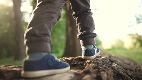 baby boy playing in the forest park. close-up child feet walking on a fallen tree log. happy family kid dream concept. a child in sneakers walks on a fallen tree in lifestyle park