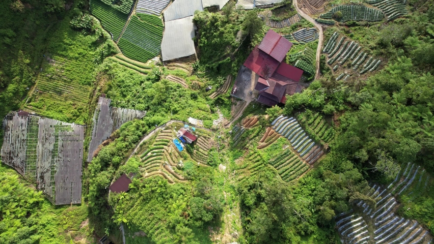 General Landscape View of the Brinchang District Within the Cameron Highlands Area of Malaysia