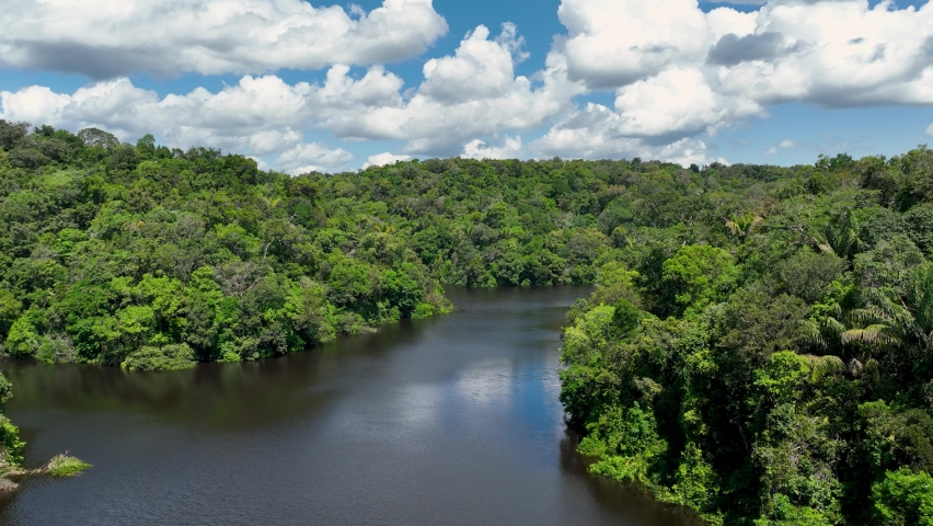 Amazon River at Amazon Rainforest. The biggest tropical rainforest of world. Manaus Brazil. Amazonia ecosystem. Nature wild life landscape. Global warming emissions reduction. Amazon river rainforest  | Shutterstock HD Video #1091399959