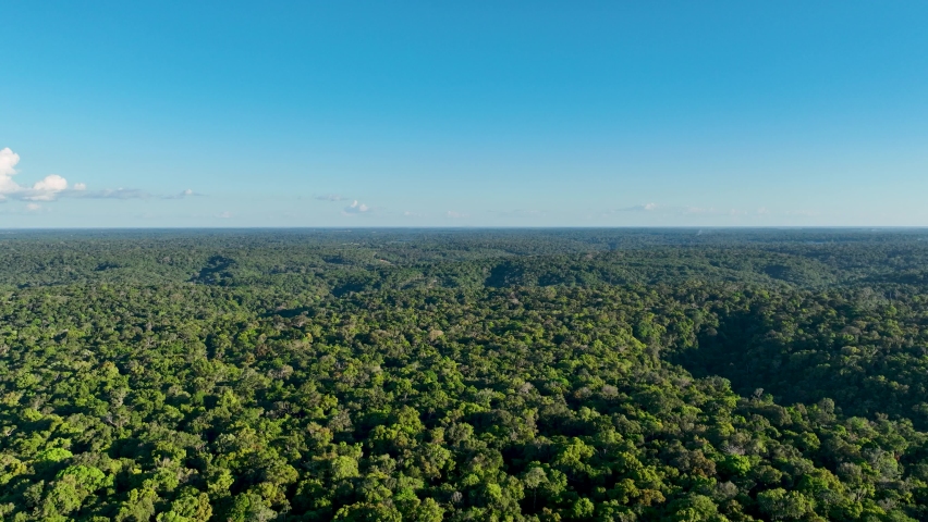Amazon River at Amazon Rainforest. The biggest tropical rainforest of world. Manaus Brazil. Amazonia ecosystem. Nature wild life landscape. Global warming emissions reduction. Amazon river rainforest  Royalty-Free Stock Footage #1091399961