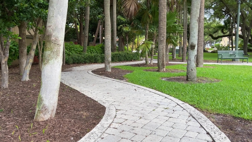 Walking on a paved trail during the day in the woods.