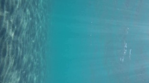 VERTICAL VIDEO: Slow motion. Glare of the sun on a sandy bottom covered with green seagrass in the surf zone. Sunrays on seabed. Camera moving forwards above seabed
