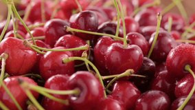 sweet cherry. Fresh juicy wet red cherry rotation. Bird-cherry berries. Loop motion. High quality FullHD footage