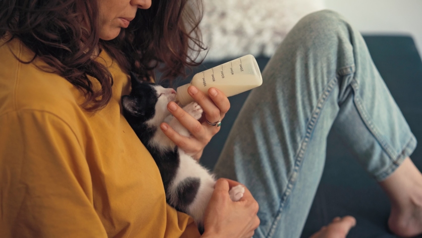 Close-up shot of a young woman feeding a small black and white kitten with milk mixture from a bottle.
