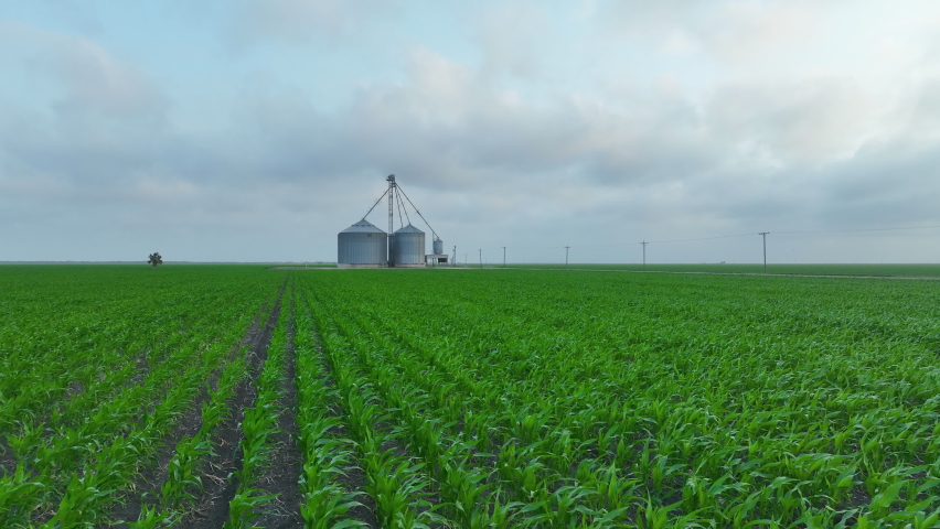 Aerial agriculture corn fields farm low forward silo Texas fast. Agriculture, farming and ranch Texas coastal area. Corn and other crops. Silos, irrigation and dry farm. Food production Farmers.