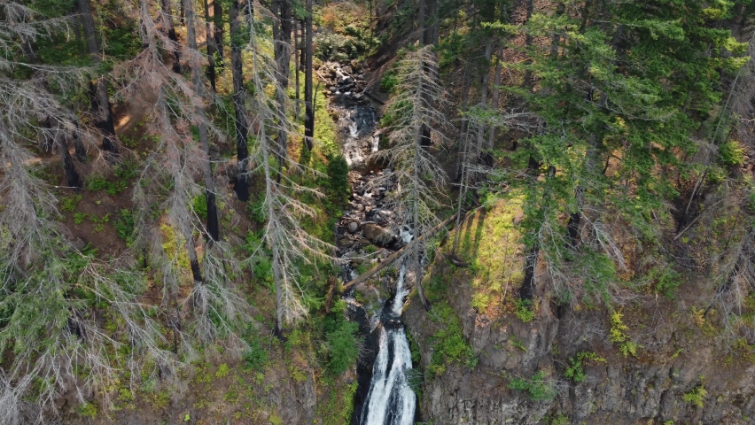 Drone shot revealing a tall waterfall (Horsetail Falls) cascading over the cliffside in the Columbia River Gorge in Oregon. This 4K cinematic wilderness scene was filmed using a DJI Mini 2 drone.