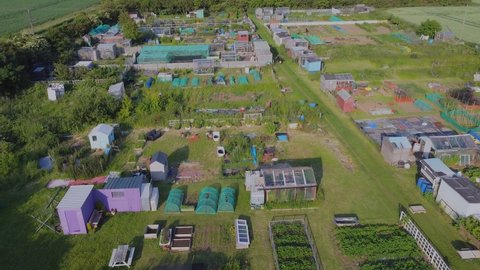 Drone shot.  Allotment gardens, agriculture, gardening, self sufficient vegetables and fruit. Filmed East Yorkshire. England. 16.6.2022