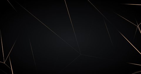 Abstract luxury background with golden lines on black background. Gold polygonal random network shine glitter design. Premium minimal animated banner. Modern seamless looped animation. Dark royal BG: film stockowy