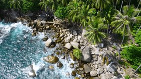 Aerial nature video top down camera view of island coast rock beach And coconut tree on coast 