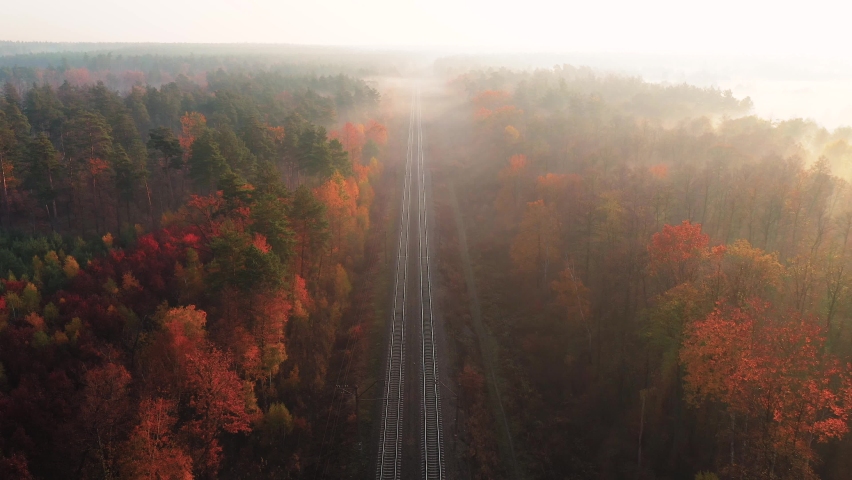 Aerial view of railroad in colorful forest with red leaves at foggy sunrise in autumn. Top view of rural railway station, trees in fog and gold sunbeams in fall. Railroad in sunny morning from drone