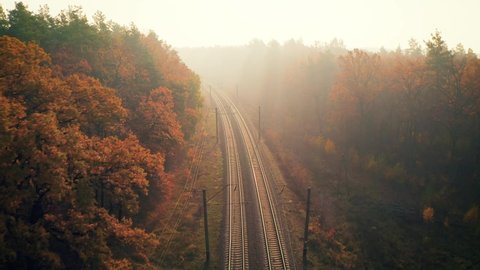 Стоковое видео: Train in beautiful forest in fog at sunrise in autumn. Aerial view of moving commuter train in fall. Colorful landscape with railroad, foggy trees with orange leaves, mist. Top view. Railway station