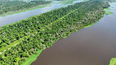 Amazon River Amazon Rainforest Biggest Tropical Stock Footage Video ...